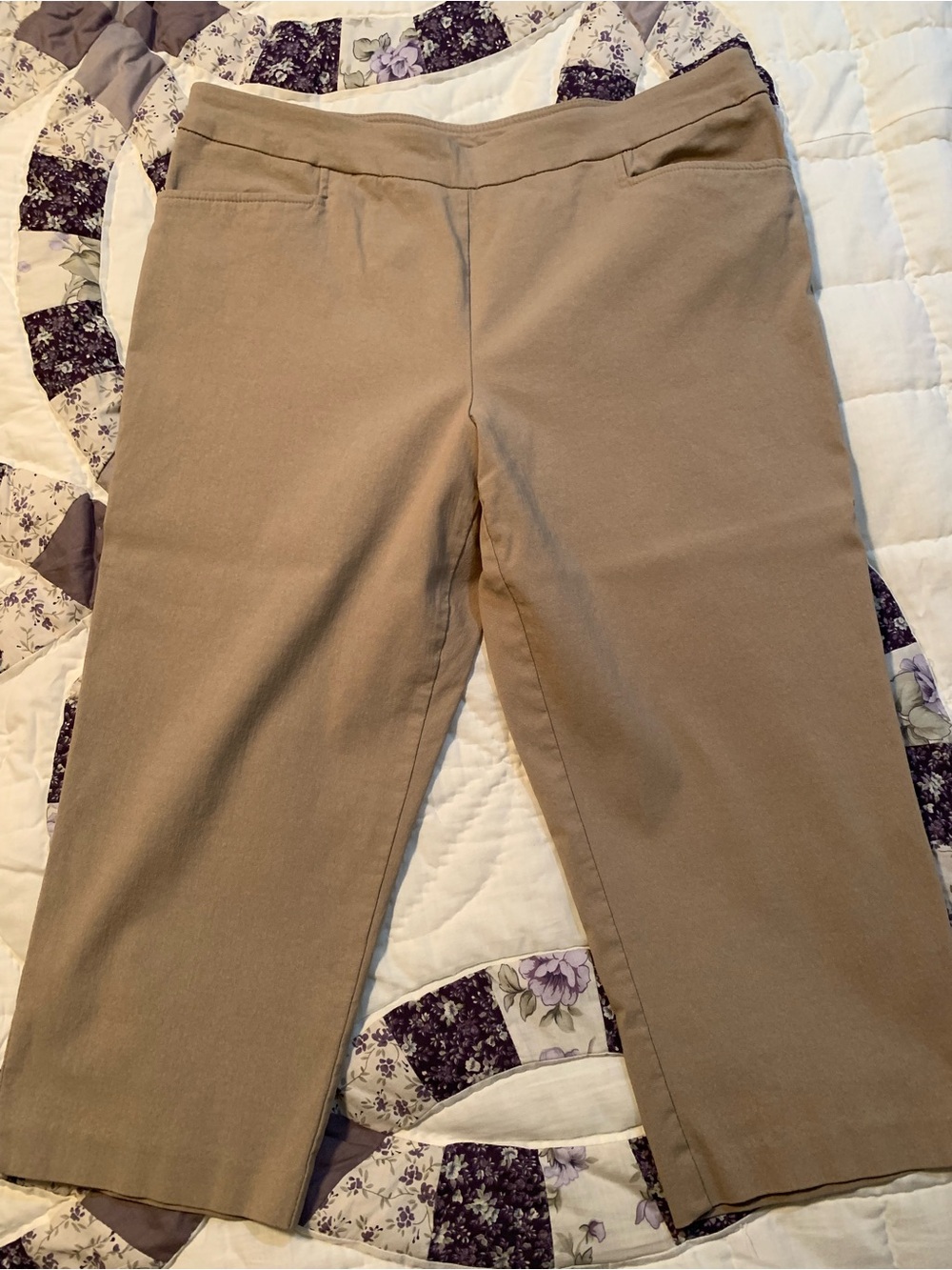 Dressy Pull-On Cropped pants